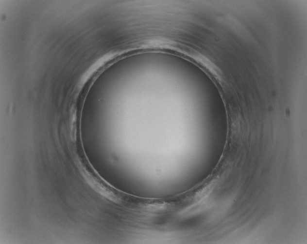 X0000062871126200601131434