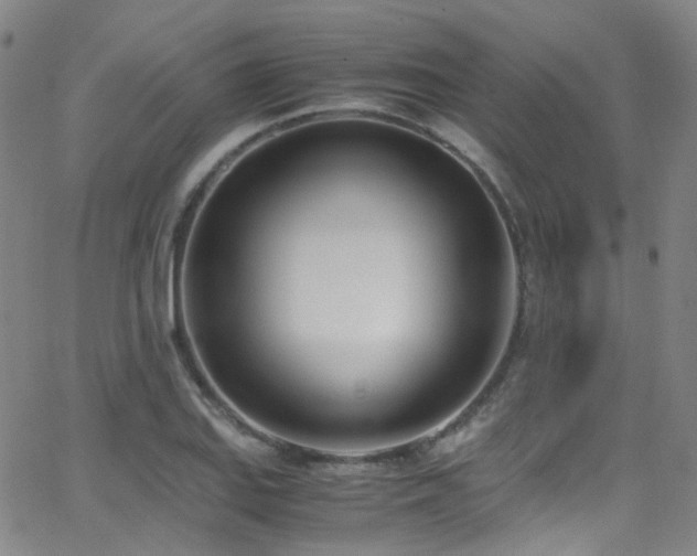 X0000062871127200601131434