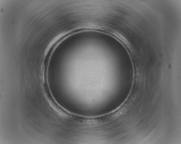 X0000062871128200601131434