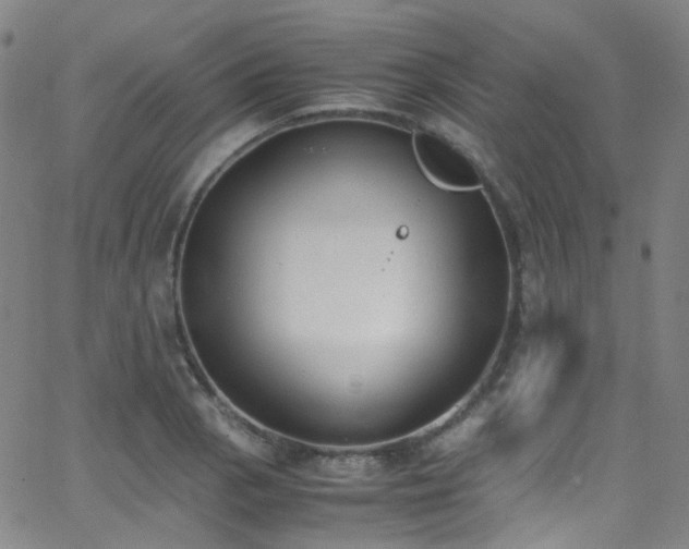 X0000062871129200601131434