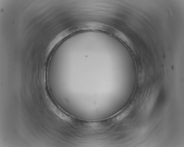 X0000062871130200601131434