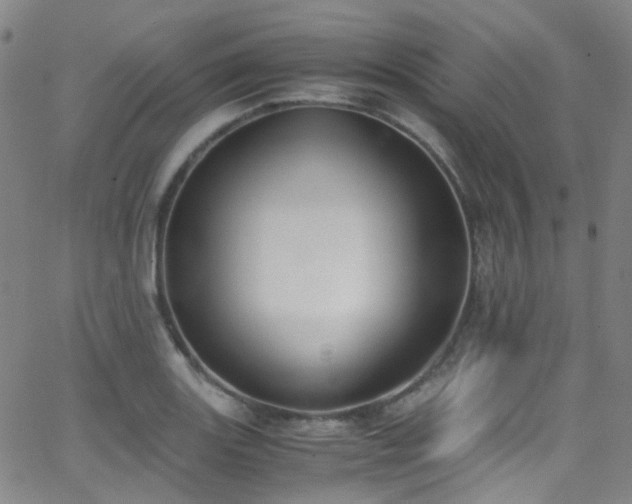 X0000062871131200601131434