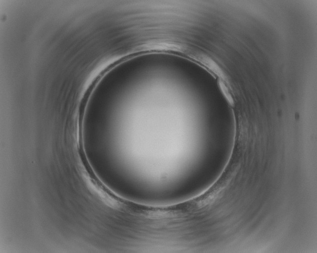 X0000062871132200601131434