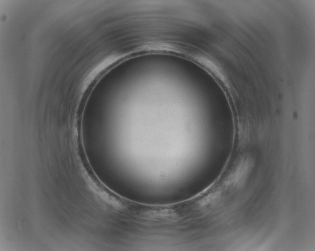 X0000062871133200601131434