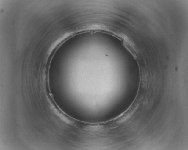 X0000062871134200601131434