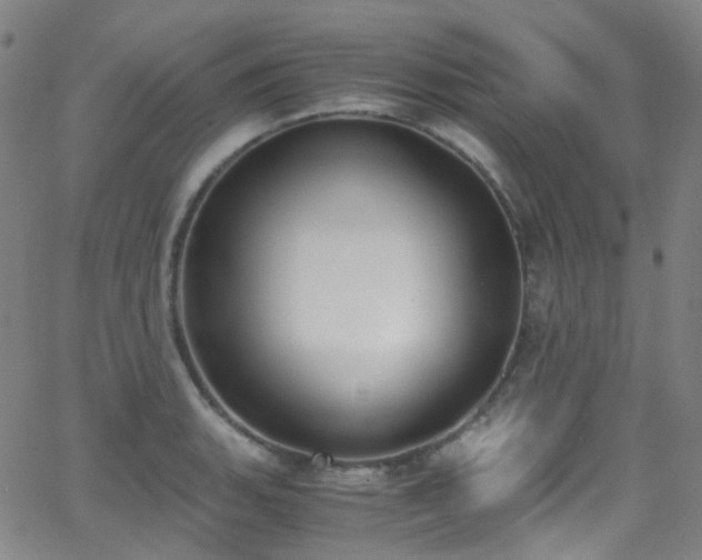 X0000062871135200601131434