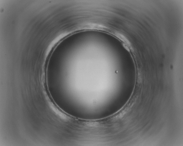 X0000062871136200601131434