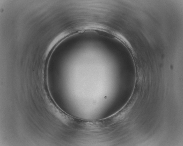 X0000062871138200601131434