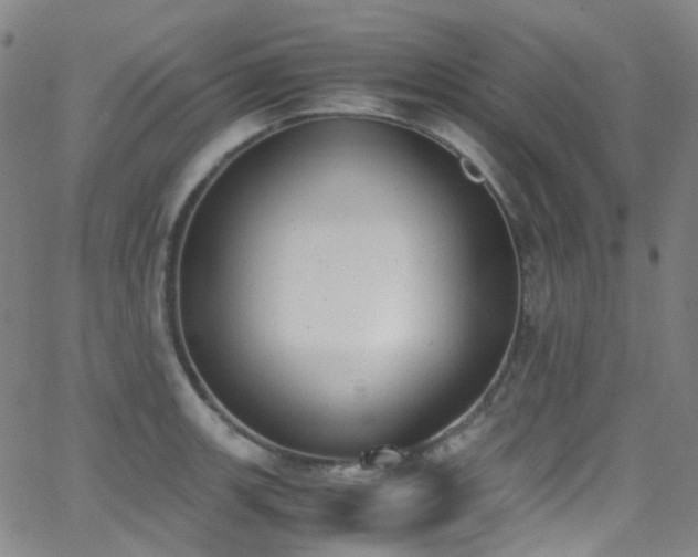 X0000062871139200601131434