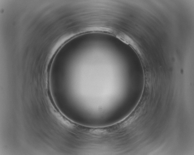 X0000062871140200601131434