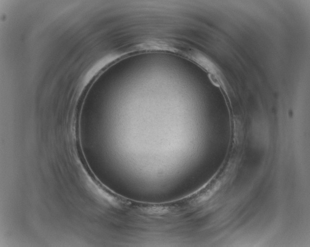 X0000062871141200601131434