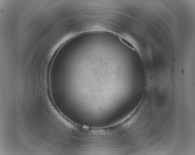 X0000062871142200601131434