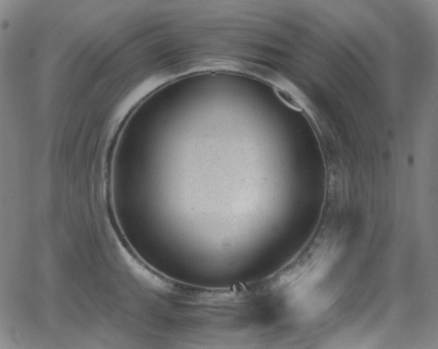 X0000062871143200601131435