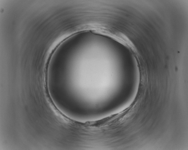 X0000062871144200601131435