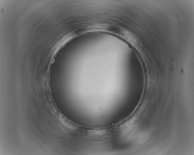 X0000062871145200601131435