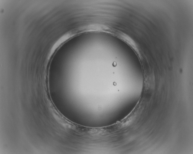 X0000062871146200601131435