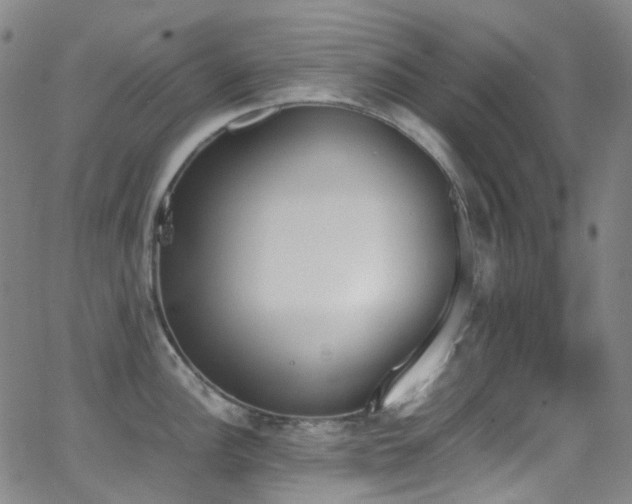 X0000062871148200601131435