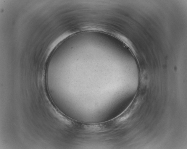 X0000062871149200601131435