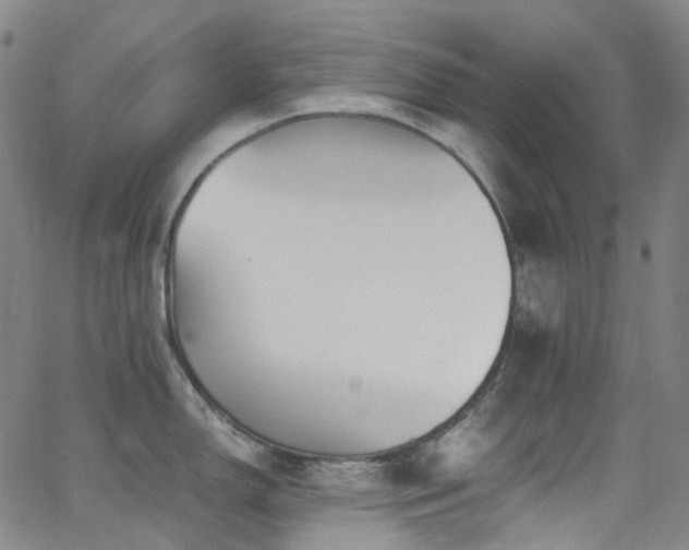 X0000062871150200601131435