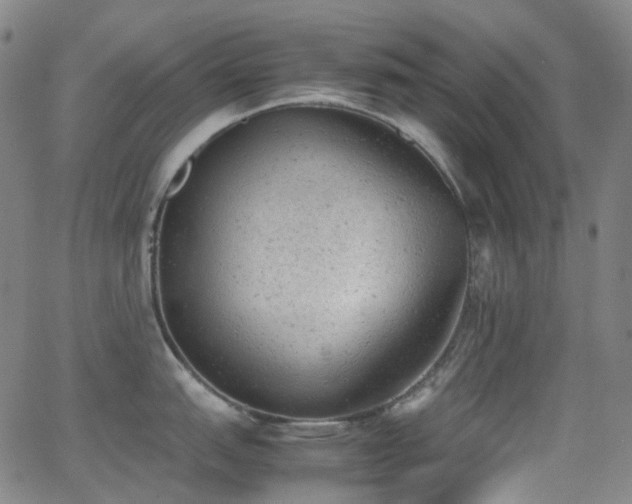 X0000062871151200601131435