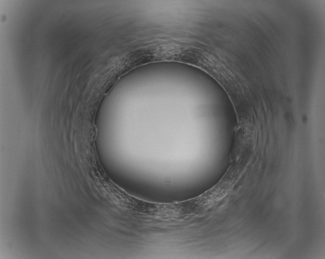 X0000062871153200601131434