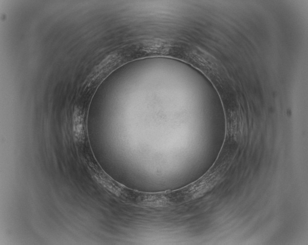 X0000062871154200601131434