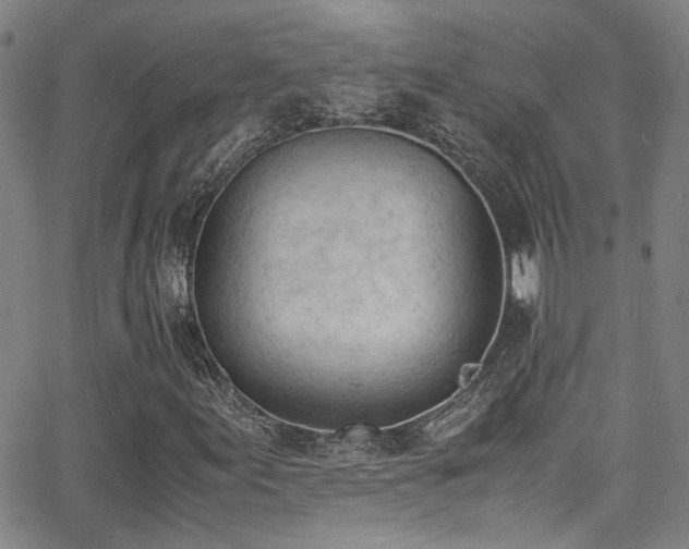 X0000062871155200601131434