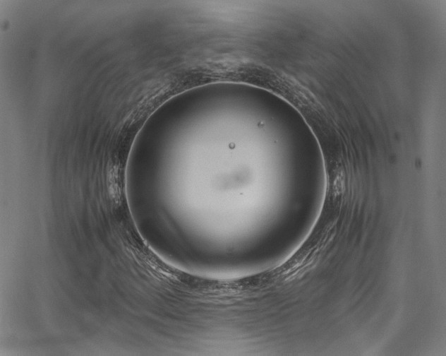 X0000062871156200601131434