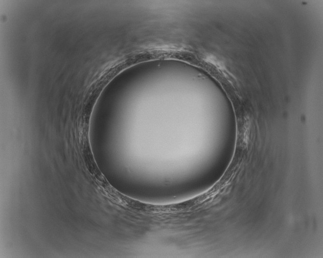 X0000062871157200601131434