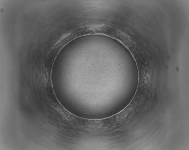 X0000062871158200601131434