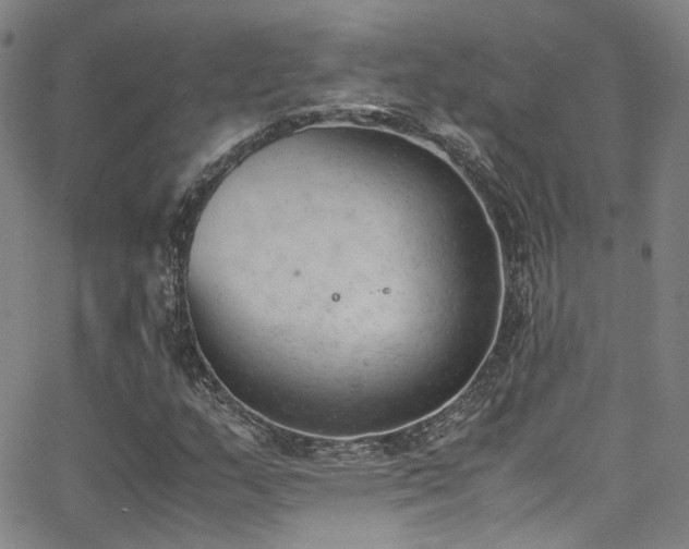 X0000062871159200601131434