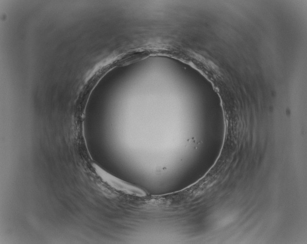 X0000062871160200601131434