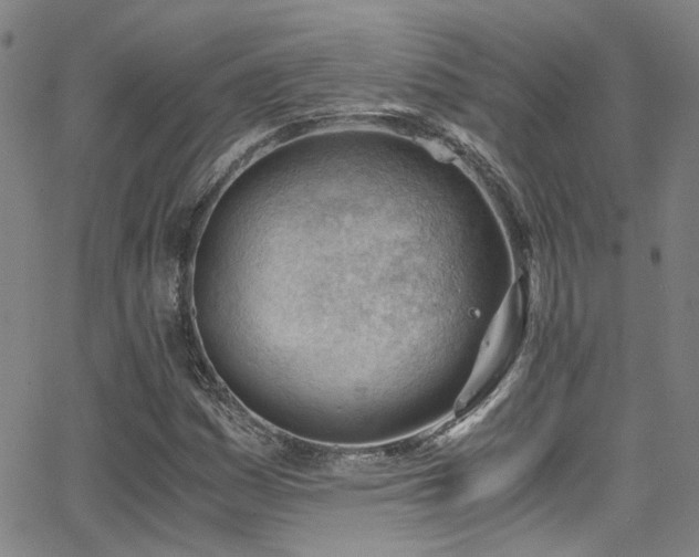 X0000062871161200601131434