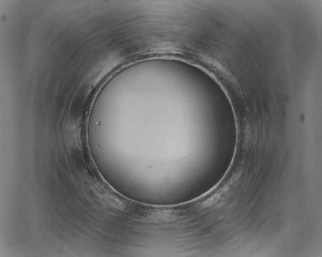 X0000062871162200601131434