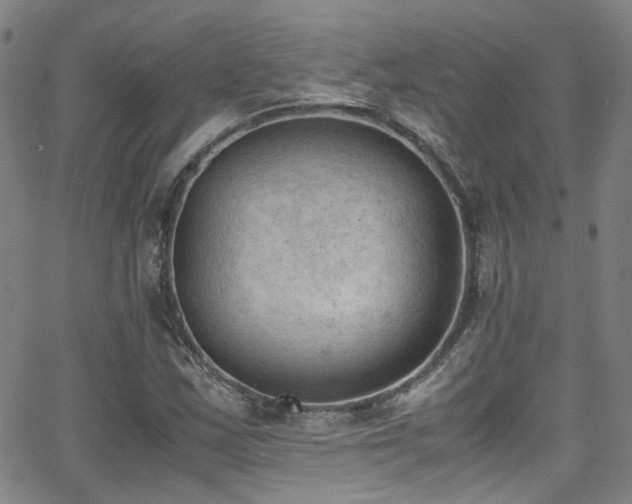 X0000062871163200601131434