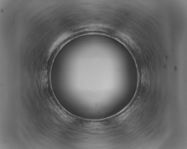 X0000062871164200601131434