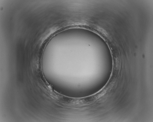 X0000062871165200601131434