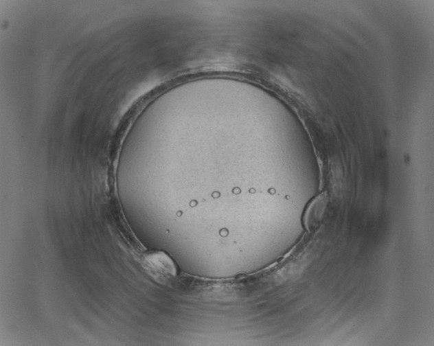 X0000062871166200601131434