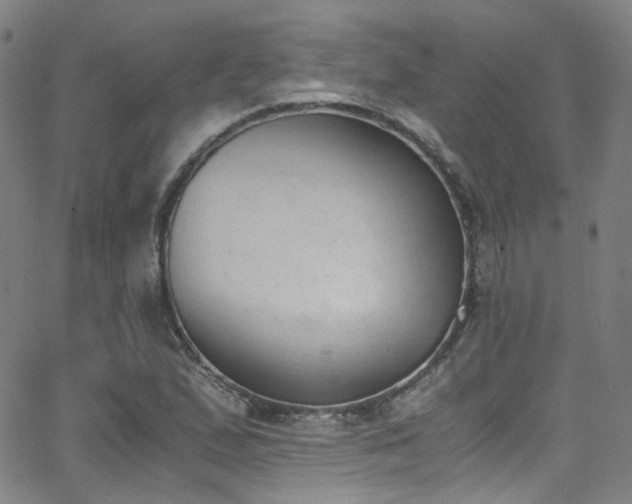 X0000062871167200601131434