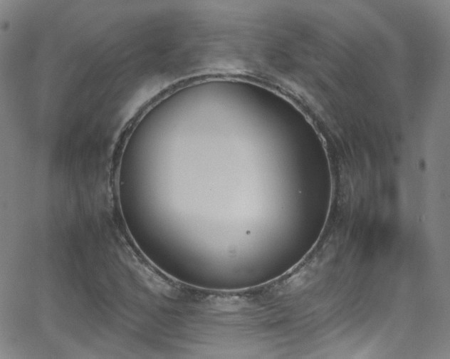 X0000062871168200601131434