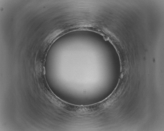 X0000062871169200601131434