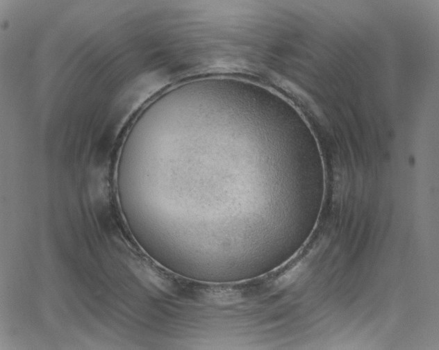 X0000062871170200601131434