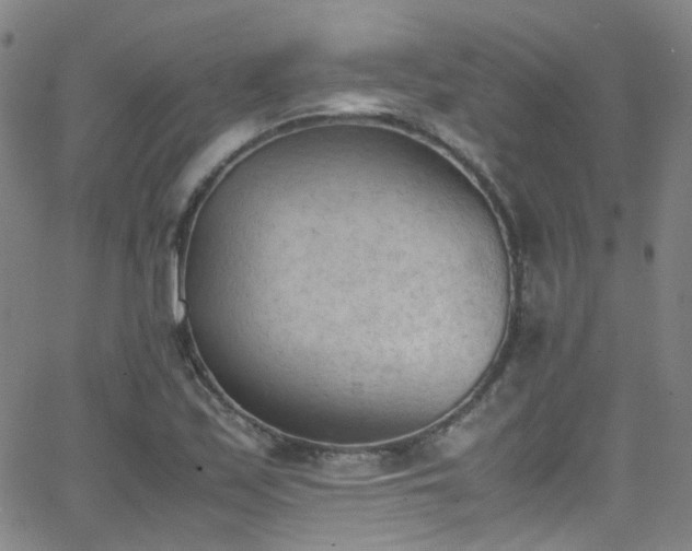 X0000062871171200601131434