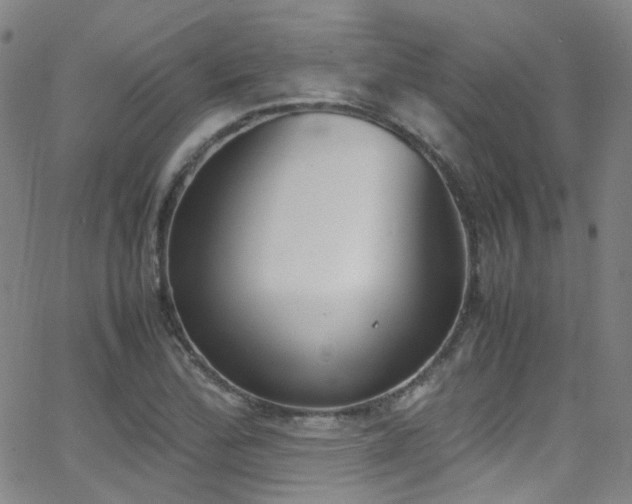 X0000062871172200601131434