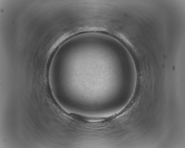 X0000062871173200601131434