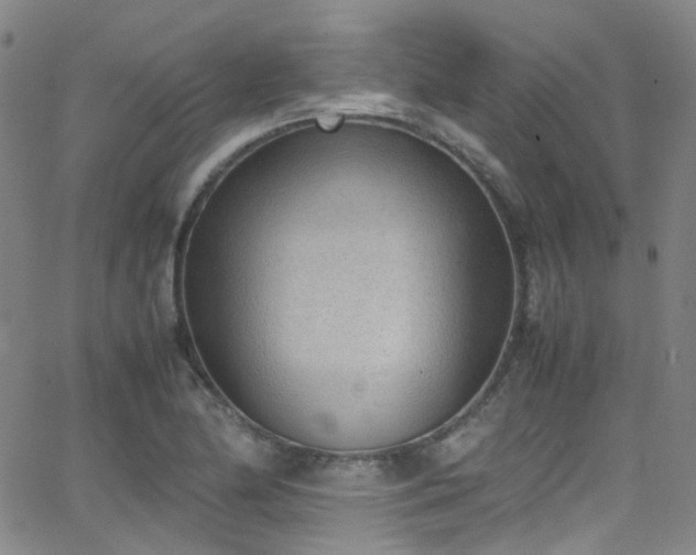 X0000062871174200601131434