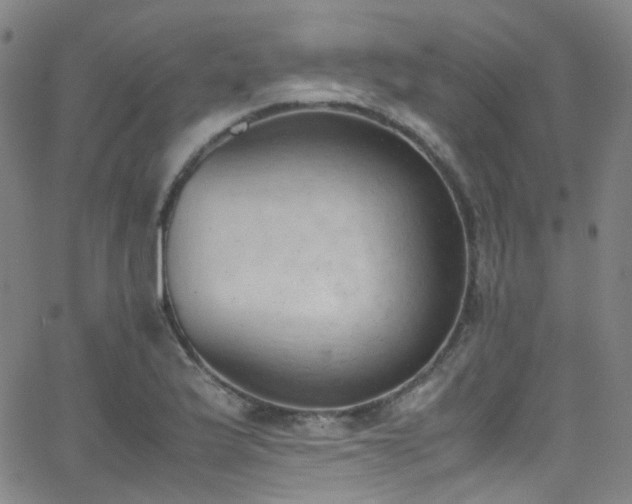 X0000062871175200601131433