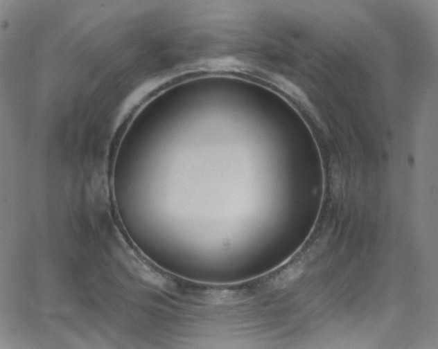 X0000062871176200601131433