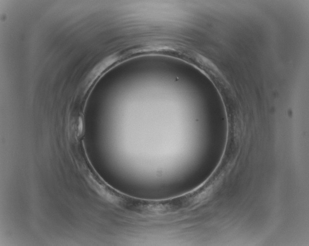 X0000062871177200601131433