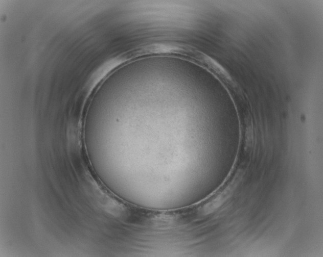 X0000062871178200601131433